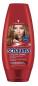 xem trước Schauma 200ml balzám Color Shine (6)