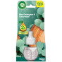 xem trước Airwick 19ml náplň Blue Eucalyptus & Cedarwood (6)