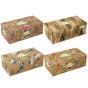 xem trước TENTO Family box kapesníky 200ks 2vrstvý