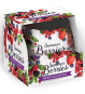 xem trước Santo svíčka 100g Summer Berries SAS 1026 (12)