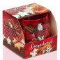 náhled Santo svíčka 100g Gingerbread SAS 8042 (12)
