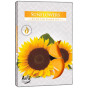 xem trước Bispol čajové svíčky 6ks Sun Flowers