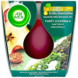 xem trước Airwick 105g svíčka Essential Winter Woodland (Dang vuong) (12)