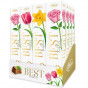 náhled Vobro Party Best Wisches 75g (16)