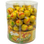 xem trước Trolli želé 18,8g Mango (80)