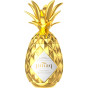 náhled Alkohol - Pinaq Original Gold 17% 1L