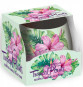 náhled Santo svíčka 100g (12) Tropical Plants / Hibiscus