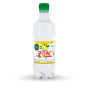náhled ZON Citron 0,5l PET (10)