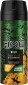 xem trước Axe deosprej 150ml pánský Wild, green mojito & cedawood (6)